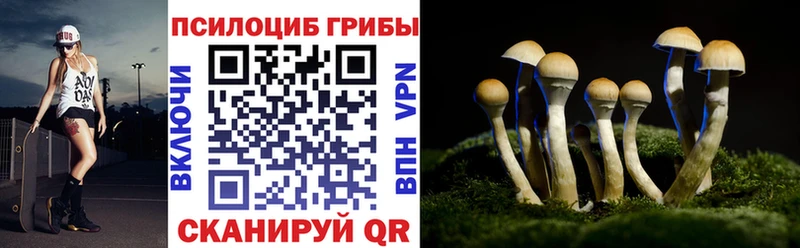 блэк спрут ТОР  Северодвинск  Галлюциногенные грибы Psilocybe 
